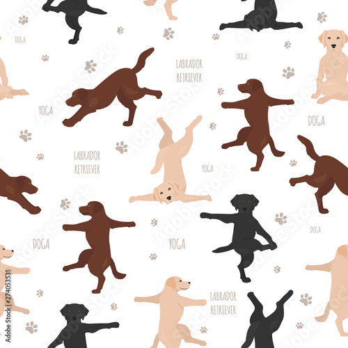 Yoga dogs poses and exercises. Labrador retriever seamless pattern