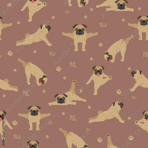 Yoga dogs poses and exercises. Pug seamless pattern