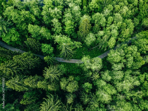 Aerial top view of country road in green summer forest. Rural landscape in Finland.
