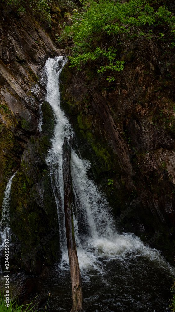 Obraz premium waterfall in deep forest