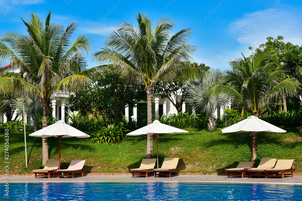 empty deck chairs with sun umbrellas next to the pool. The territory of a modern hotel in Asia. bungalow roofs behind palm trees
