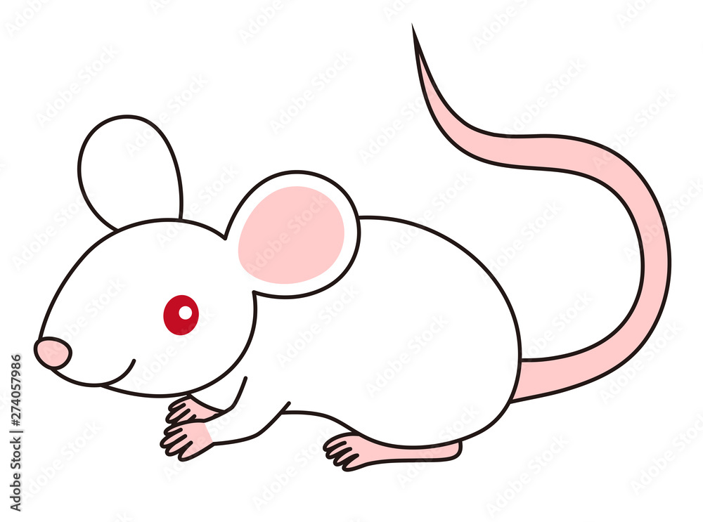 ねずみ イラスト Mouse Stock イラスト Adobe Stock