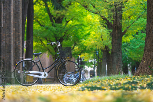 bicycle parked in the park, among the fields of Ginkgo tree. The Bam is full of gardens. Beautiful to relax. Fitness concept Make a vintage tint