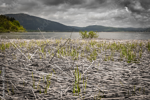 scenic view on beautiful intermittent lake cerknica, with water, spring season, slovenia