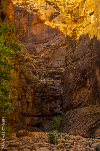 The spectacular and stunning canyon in the Narrows, Zion National Park, USA,