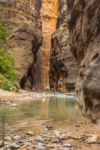 The Virgin River weaves its way through the spectacular and stunning Narrows, Zion National Park, USA