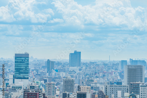              Tokyo city skyline   Japan.