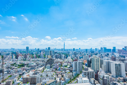 Fotomurale 東京風景 Tokyo city skyline , Japan.