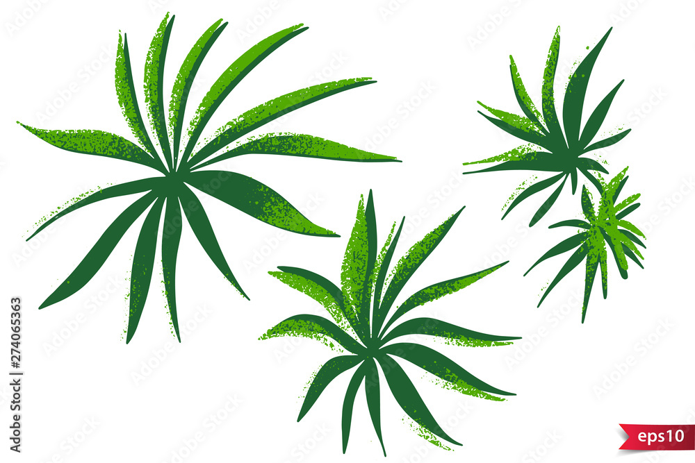 Obraz premium Vector hand drawn palm leaves with separated textures. Tropical elements set. Floral shapes for design.
