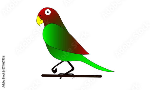 Vector cartoon funny parrot