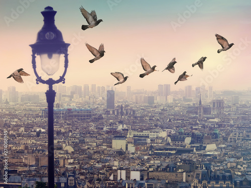 Canvas Print Paris rooftops