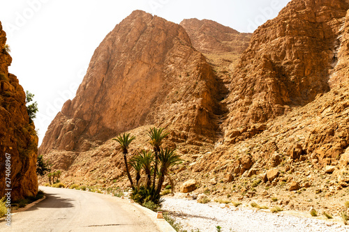 a trip trough the Wadi Todgha in the Little Atlas mountains