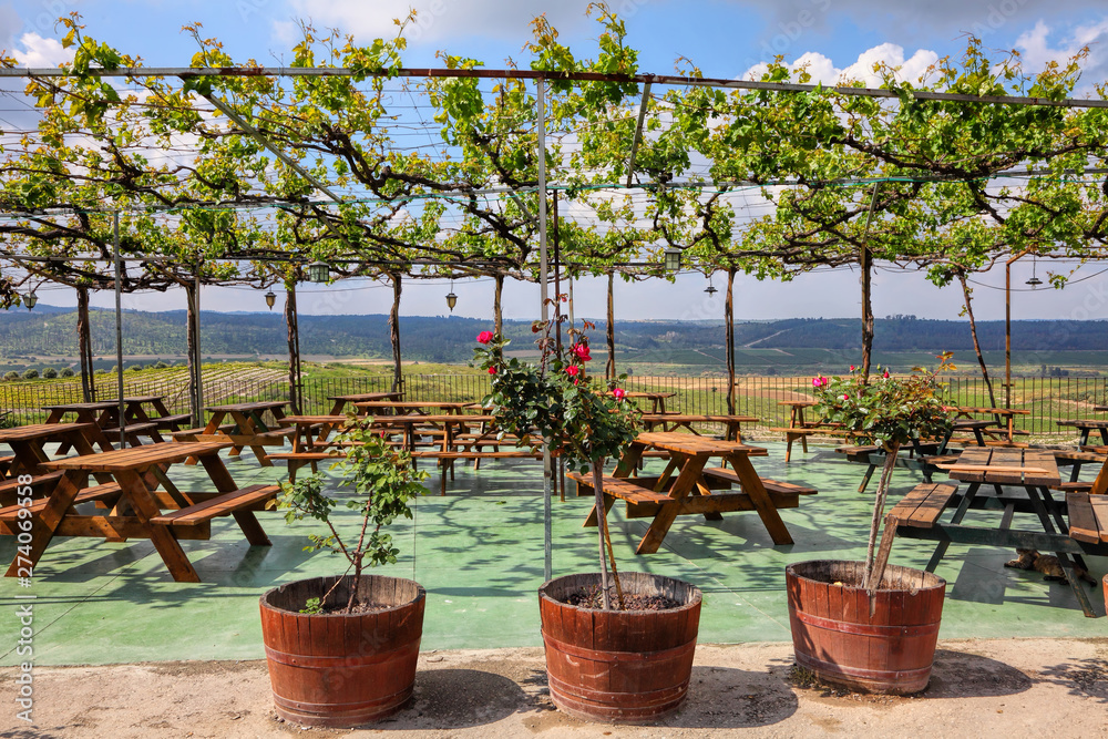 Vine arbor overlooking the agricultural valley and green vineyards. Wooden tables and benches for rest and relax in pavilion. Roses are blooming. Emek Sorek. Judean Hills. Israel 