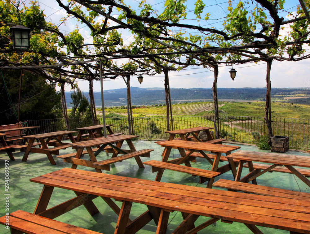 Vine arbor overlooking the agricultural valley and green vineyards. Wooden tables and benches for rest and relax in pavilion. Roses are blooming. Emek Sorek. Judean Hills. Israel Vine arbor overlooking the agricultural valley and green vineyards. Wooden tables and benches for rest and relax in pavilion. Roses are blooming. Emek Sorek. Judean Hills. Israel