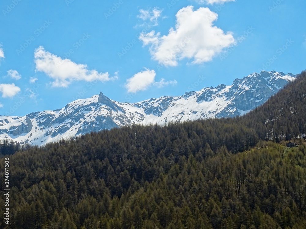 Obraz premium The mountains of the Italian Alps, in Val d'aosta, near the village of Chamois, Italy - June 2019.