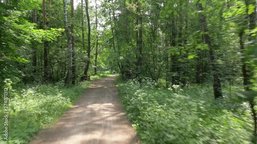 bicycle rides along narrow path past bushy trees in park