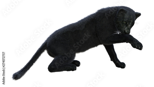 3D Rendering Black Panther on White