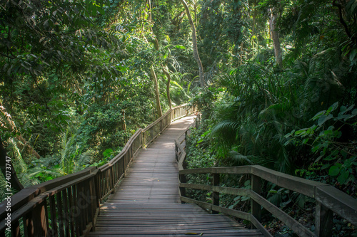 Wooden walkway found in the sacred Monkey Forest in Ubud, surrounded by lush green trees and vegetation. Bali Indonesia