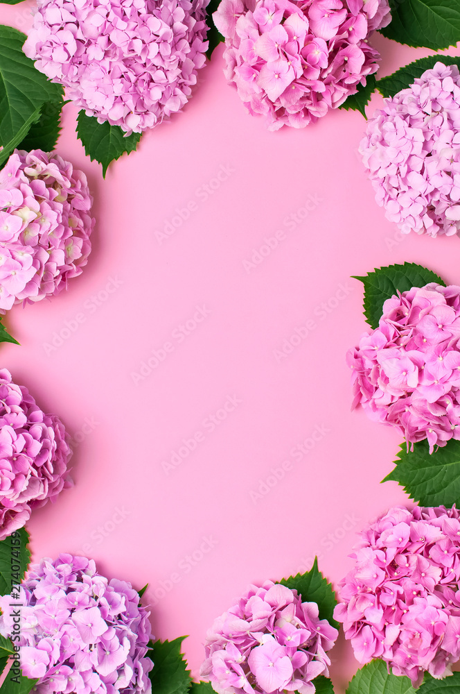Frame of Beautiful flowers of pink hydrangea with green leaves on pink background top view flat lay copy space. Flower card. Holiday, congratulations, happy mothers day. International Women's day. Frame of Beautiful flowers of pink hydrangea with green leaves on pink background top view flat lay copy space. Flower card. Holiday, congratulations, happy mothers day. International Women's day.
