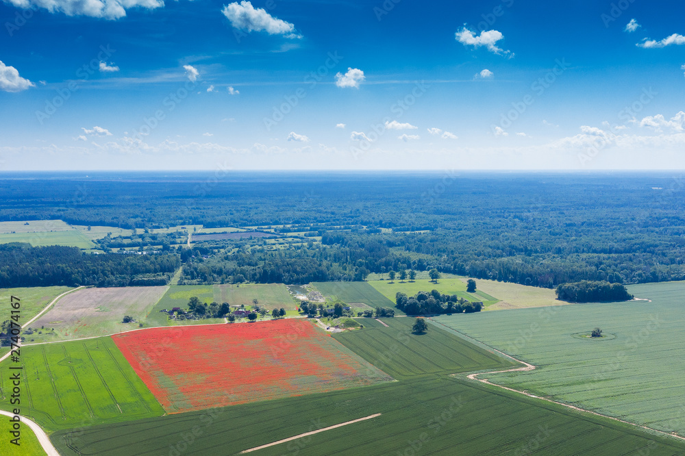 Obraz premium Clouds in blue sky over summer landscape.