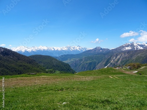 A mountain pasture in the Italian Alps near the village of Chamois  Valle d aosta  Italy - June 2019.