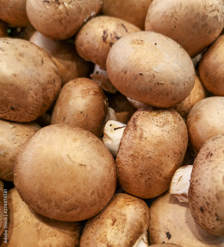 Brown champignons on the counter in the store Brown champignons on the counter in the store