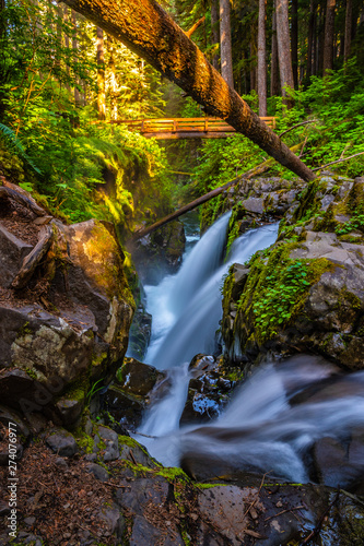 Beautiful Sunrise Hike to Sol Duc Falls in Hoh Rainforest in Olympic National Park  Washington