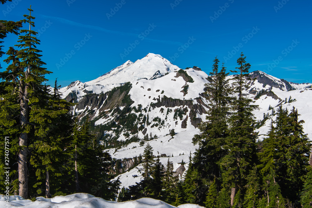 Mid-June Landscape of Mount Baker taken from Artist Point-1