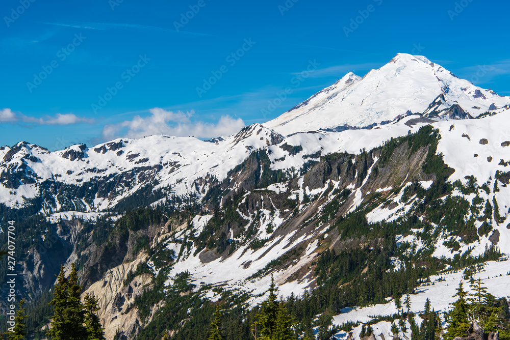 Mid-June Landscape of Mount Baker taken from Artist Point-2