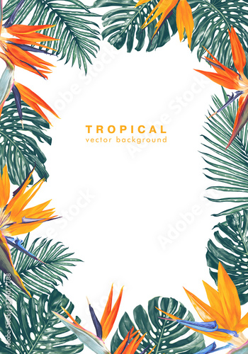 Summer background with a frame formed from the leaves and flowers of a tropical plant Strelitzia Reginae with place for your text. Can be used as greeting, invitation card, sale banner, advertisement.