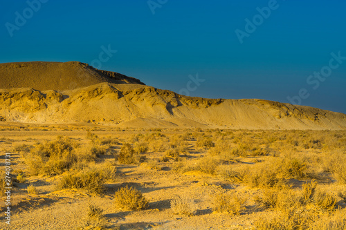 Landscape in the Southern Israel.