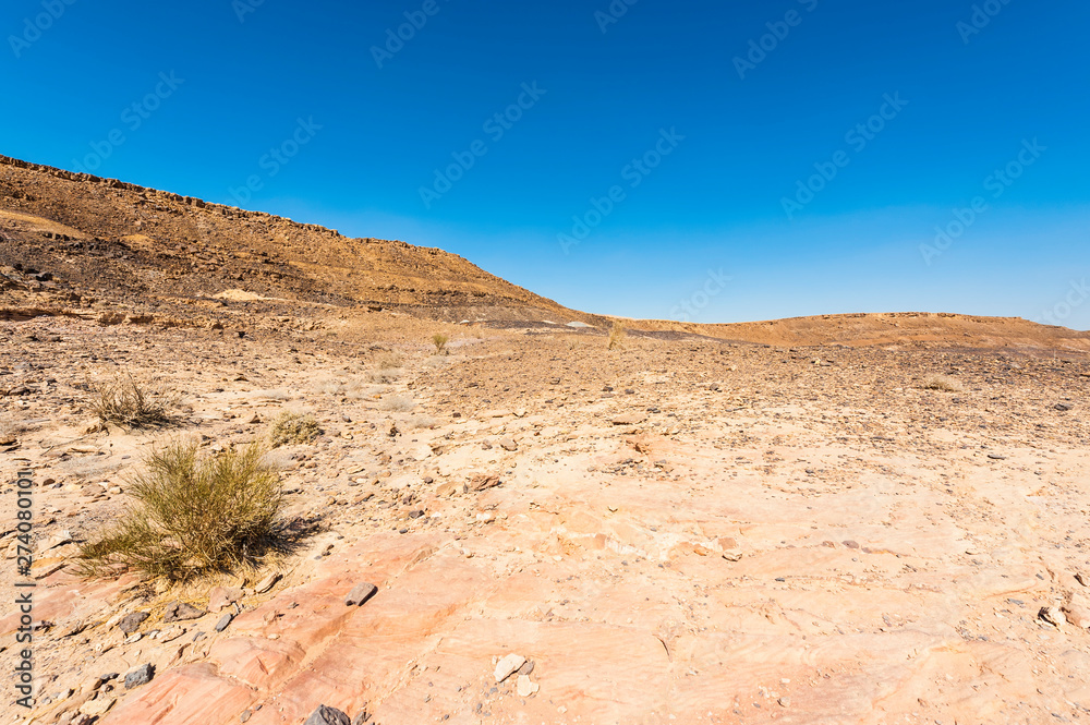 Negev Desert in Israel