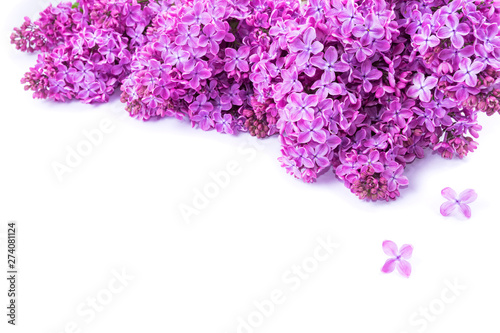 Bouquet of lilac flowers isolated on white background. Syringa vulgaris. Copy space. Greeting card.