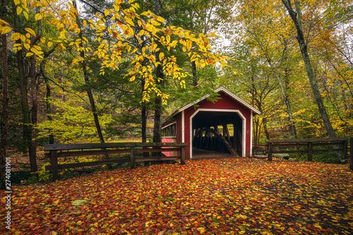 autumn in the park