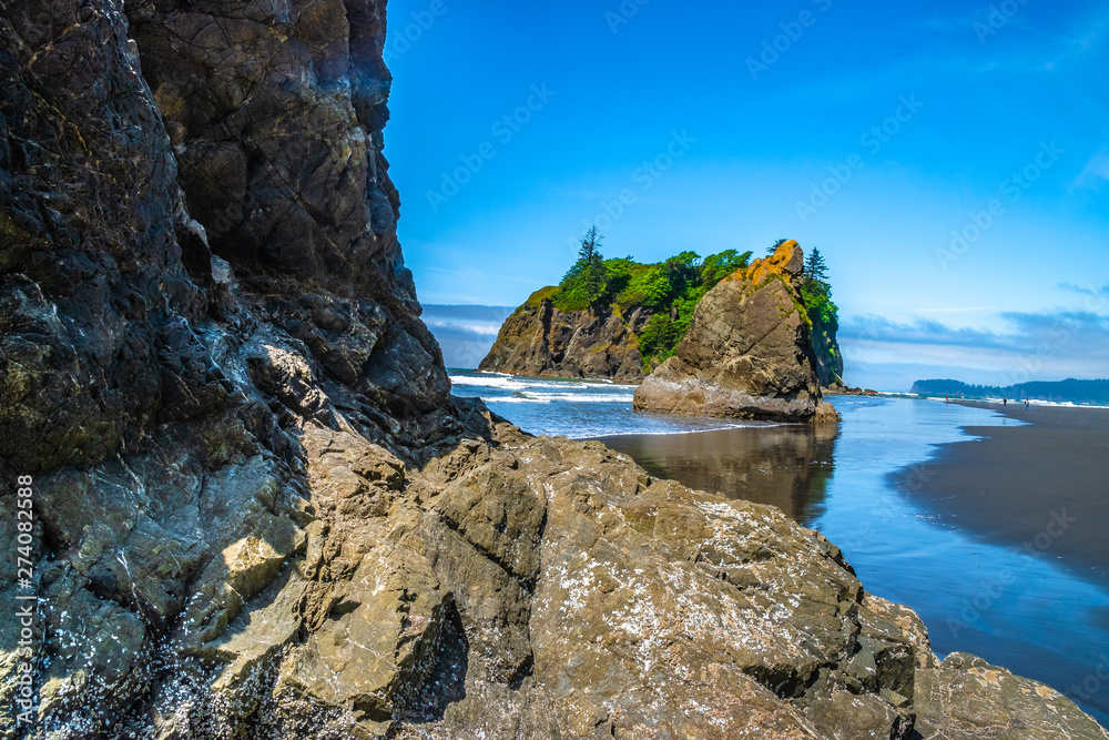 Fototapeta premium Beautiful Morning Hike on Ruby Beach in Olympic National Park, Washington