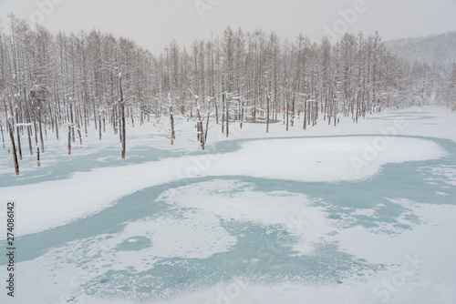 凍結した青い池 / 北海道 美瑛町の観光イメージ photo