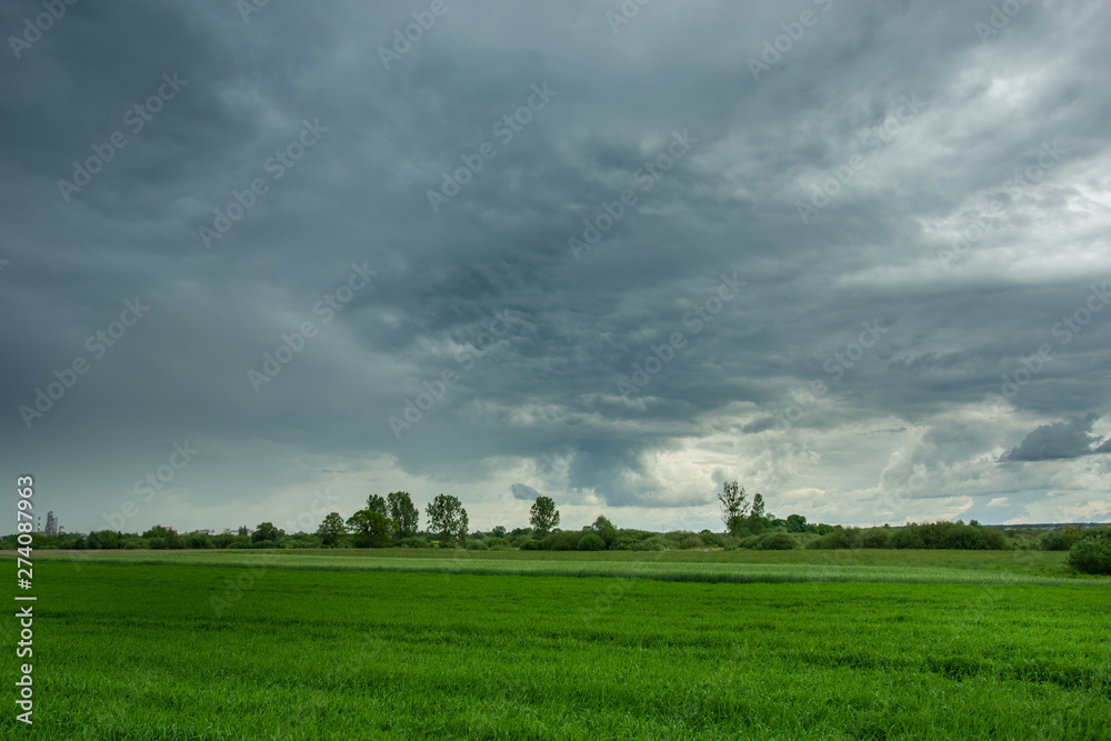 Green field, trees on the horizon and cloudy sky