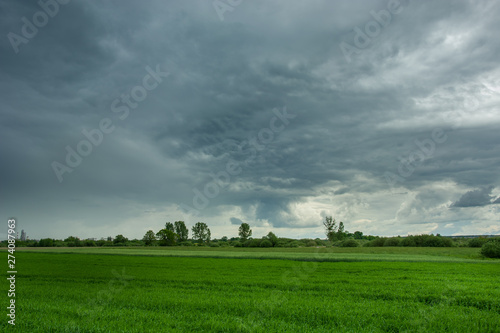Green field, trees on the horizon and cloudy sky