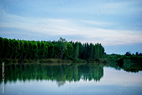 Pictures of trees and rivers, streams and beautiful nature in the evening of every day Nature concept