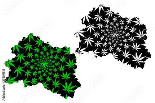 Oryol Oblast (Russia, Subjects of the Russian Federation, Oblasts of Russia) map is designed cannabis leaf green and black, Oryol Oblast map made of marijuana (marihuana,THC) foliage....