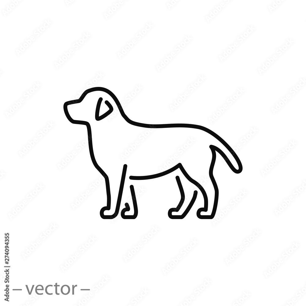 dog icon, line symbol on white background - editable stroke vector illustration eps10