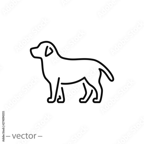 dog icon, line symbol on white background - editable stroke vector illustration eps10