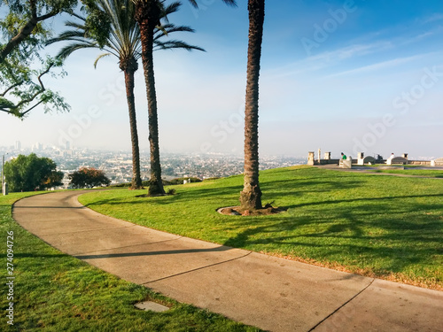 Los Angeles downtown skyline and palm trees as seen from the Baldwin Hills, California photo