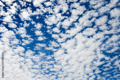 Altocumulus cloudscape on blue blue sky, Beautiful Cirrocumulus or Altocumulus on the middle altitude layer photo