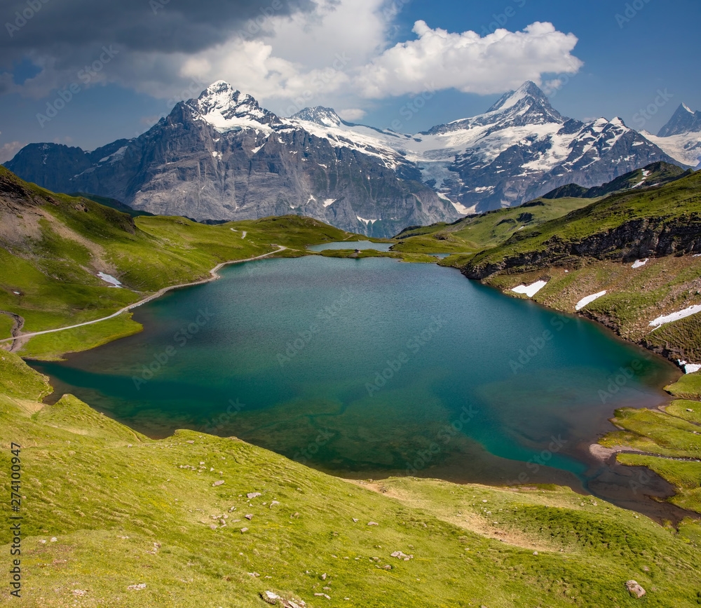 Swiss beauty, Schreckhorn and Wetterhorn  above Bachalpsee lake, Bernese Oberland, Switzerland, Europe