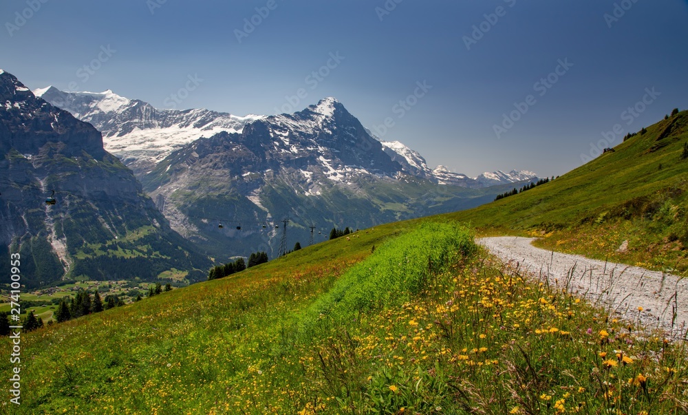 Swiss beauty, path and meadows above Grindelwald valley, Bernese Oberland,Switzerland,Europe