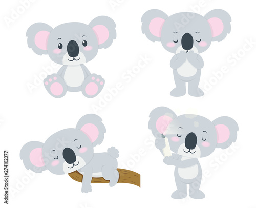 set of koala bears