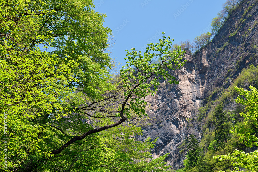 Fototapeta premium North Korean nature