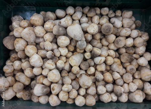 Many straw mushrooms from supermarket is ingredient for cooking, Food concept