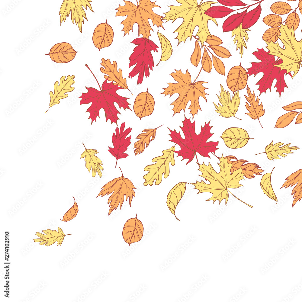  Vector background with hand drawn autumn leaves.  Sketch illustration